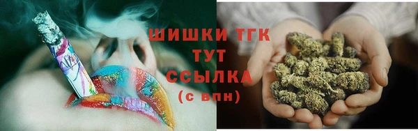 молекула духа Пестово